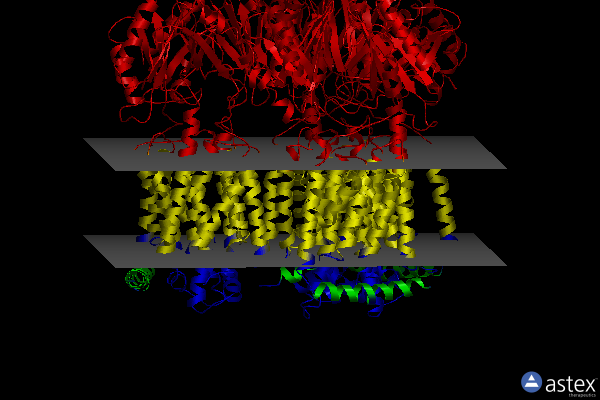 Membrane view of 1oyd