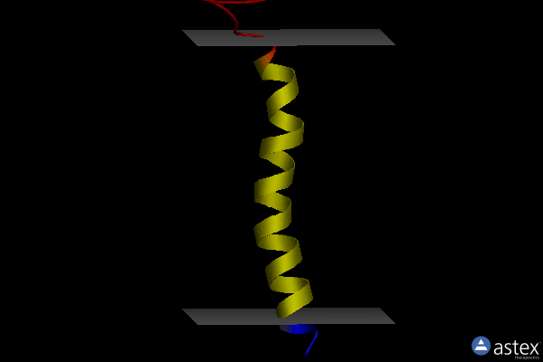 Membrane view of 2lzl