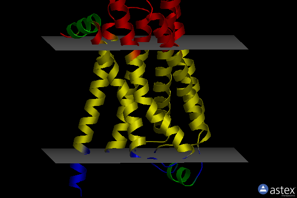 Membrane view of 2y01