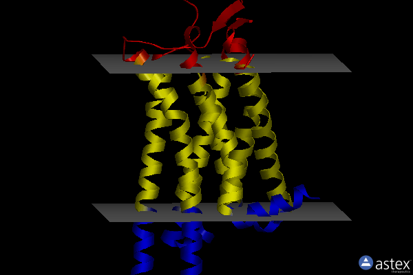 Membrane view of 3rfm