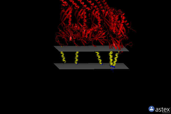 Membrane view of 7vhq