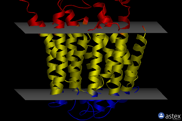 Membrane view of 7xq1