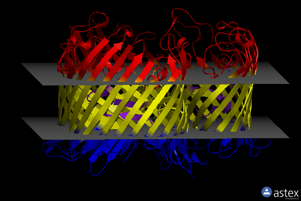 Membrane view of 1a0s