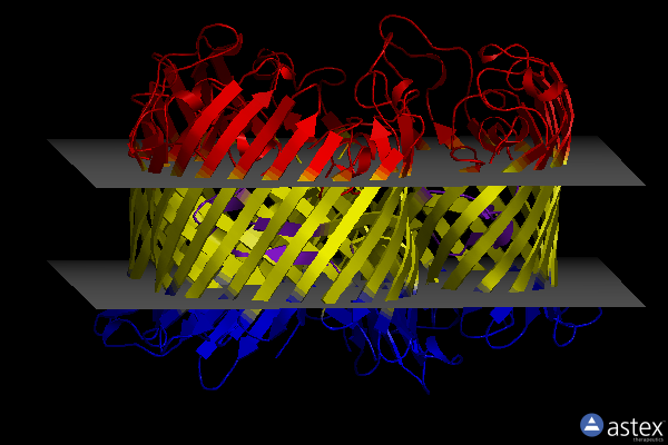 Membrane view of 1a0t