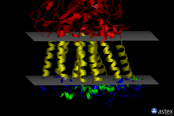 Membrane view of 1aig