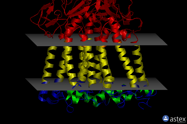 Membrane view of 1aij