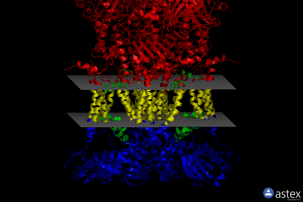 Membrane view of 1bcc