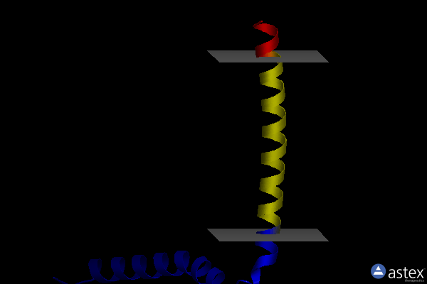 Membrane view of 1bct