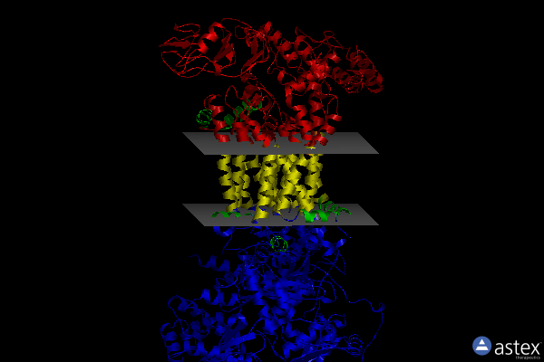 Membrane view of 1be3