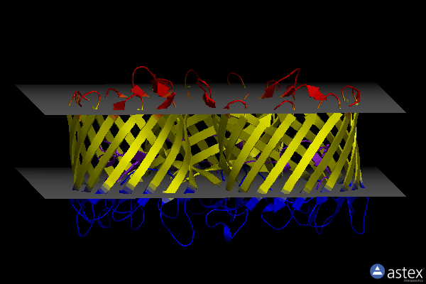 Membrane view of 1bh3