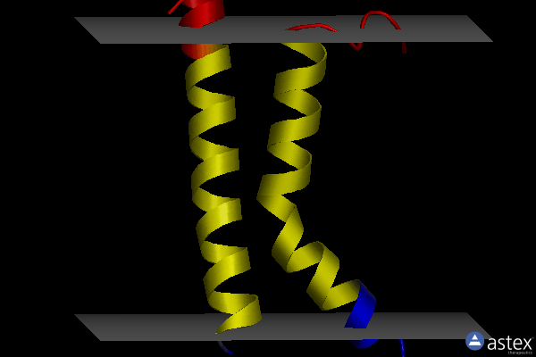 Membrane view of 1bha