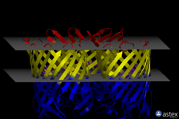 Membrane view of 1bt9