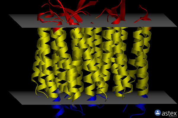 Membrane view of 1c3w