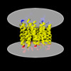 1c3w