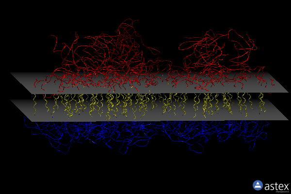 Membrane view of 1c51