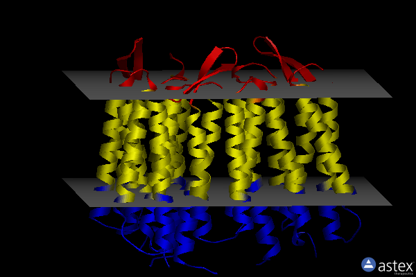 Membrane view of 1c8r