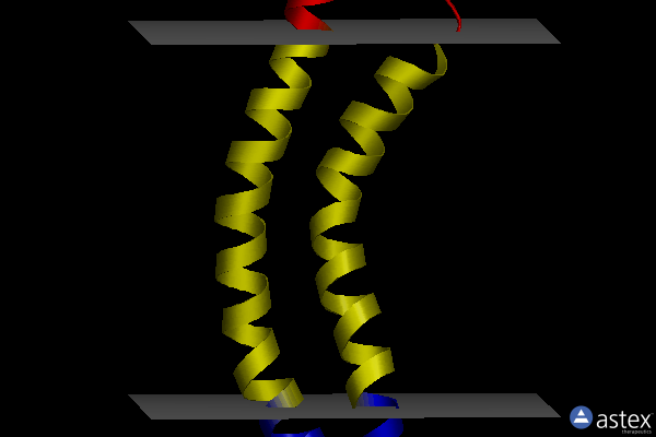 Membrane view of 1c99