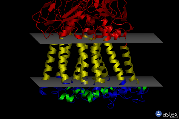 Membrane view of 1dv3