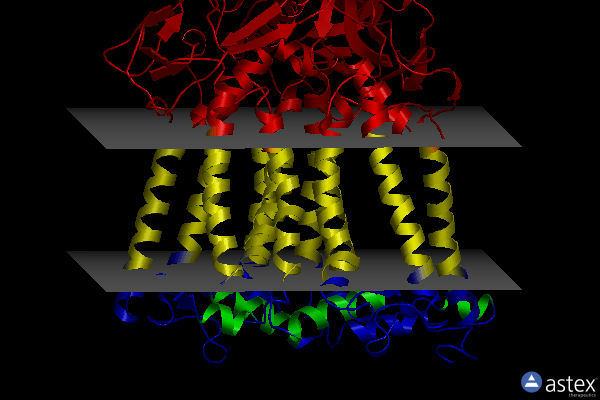 Membrane view of 1dv6