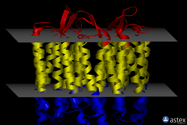 Membrane view of 1dze