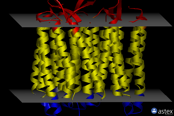 Membrane view of 1e0p