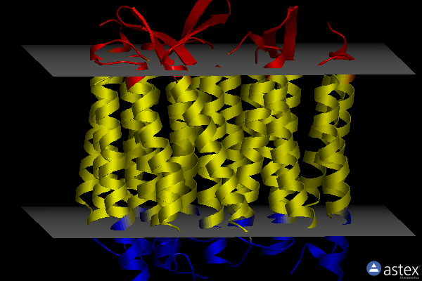Membrane view of 1f4z