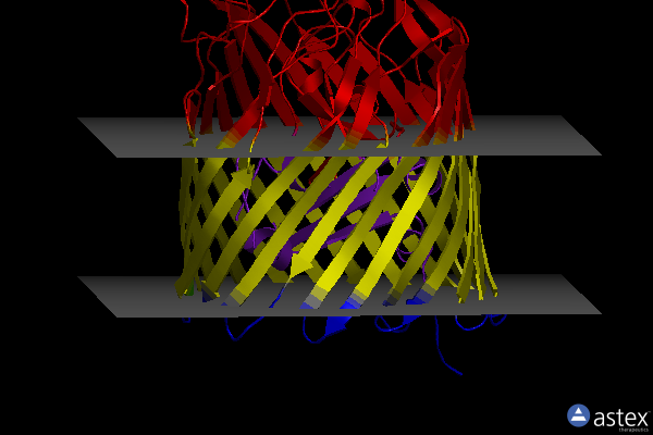 Membrane view of 1fep