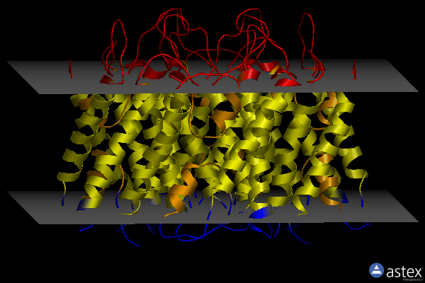 Membrane view of 1fqy