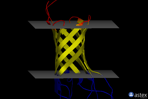 Membrane view of 1g90