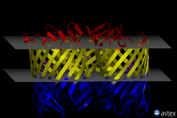 Membrane view of 1gfm