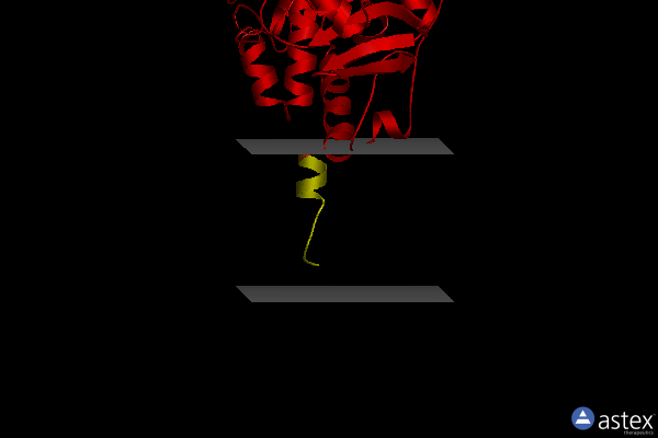Membrane view of 1gos