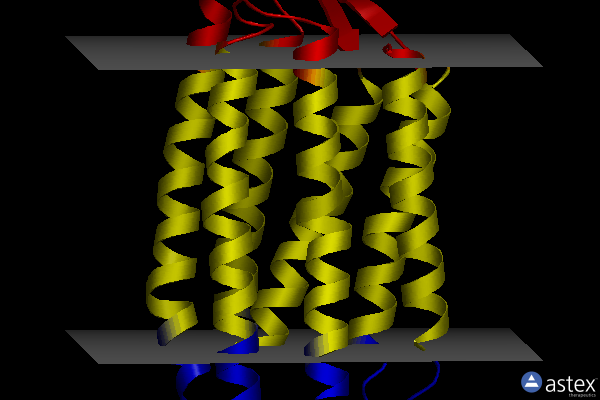 Membrane view of 1gu8
