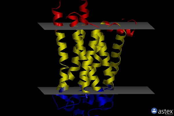 Membrane view of 1gzm