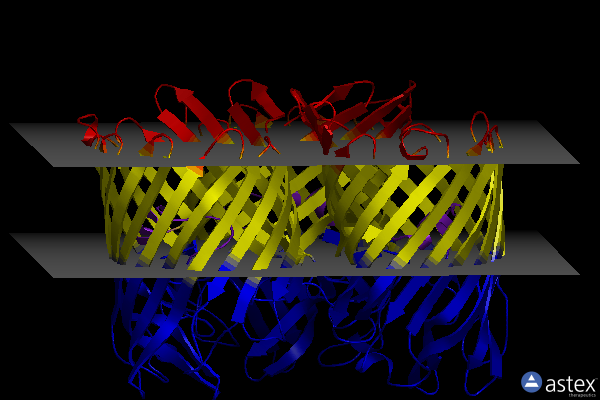 Membrane view of 1hxx