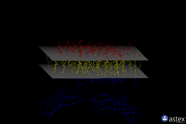 Membrane view of 1ilx