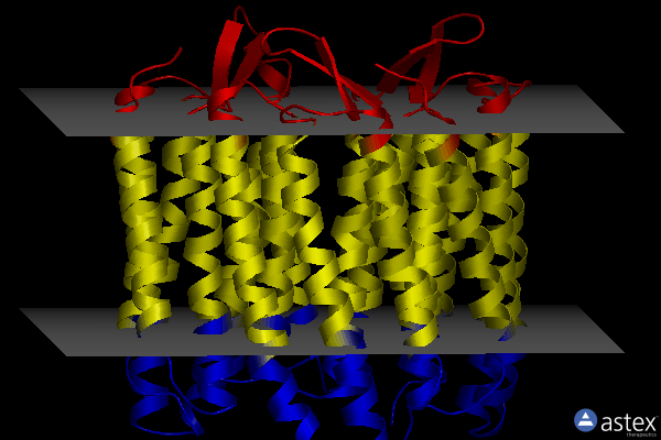 Membrane view of 1iw6