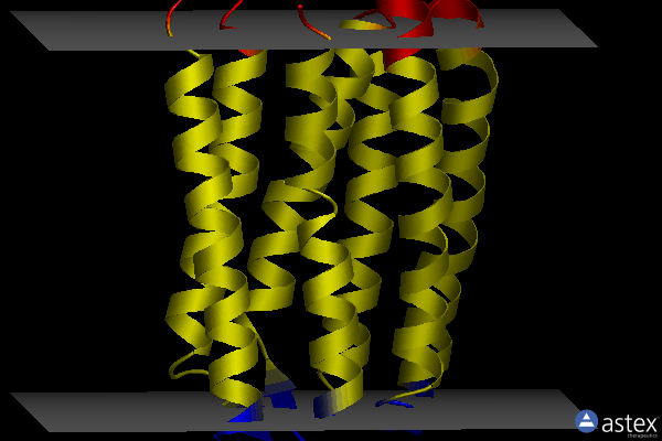 Membrane view of 1jgj