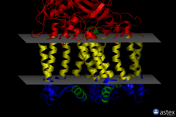 Membrane view of 1jgx