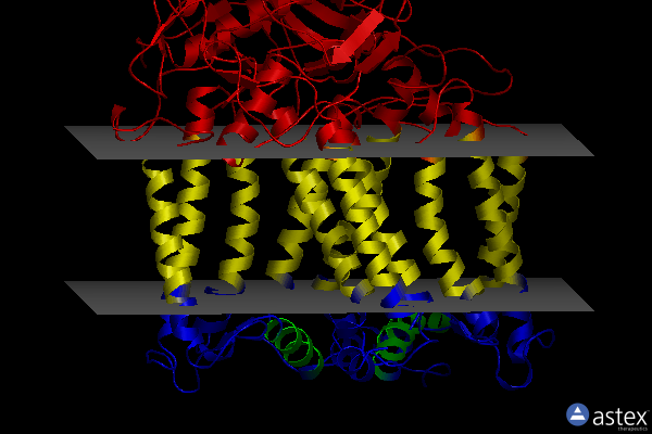 Membrane view of 1jgy