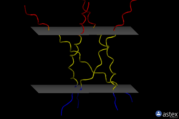 Membrane view of 1jq2