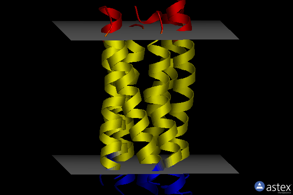 Membrane view of 1jv6