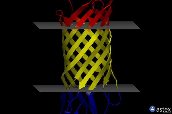 Membrane view of 1k24