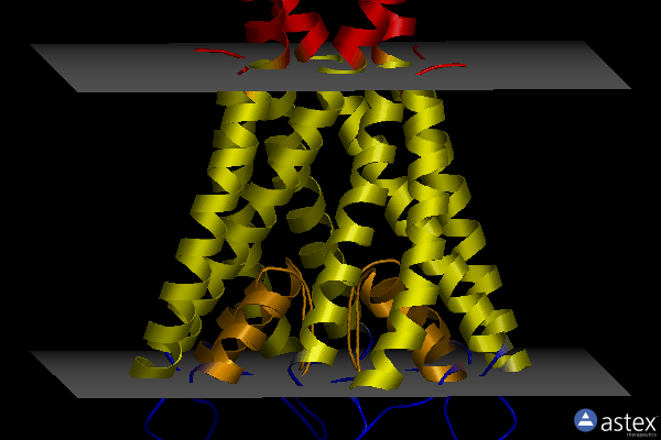 Membrane view of 1k4c