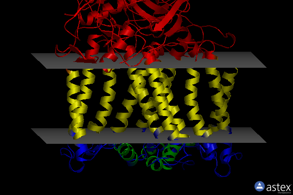 Membrane view of 1kby