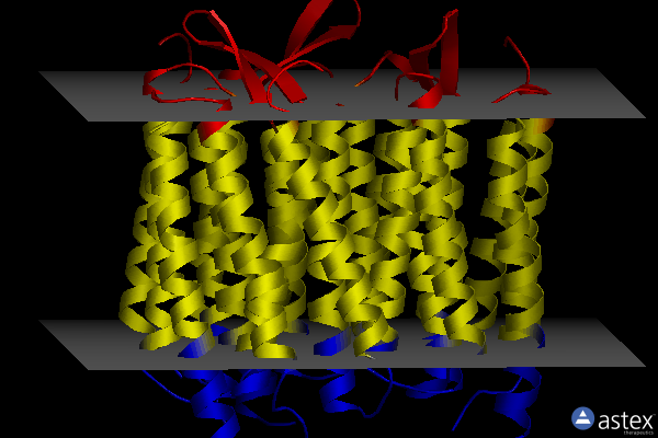 Membrane view of 1kg9