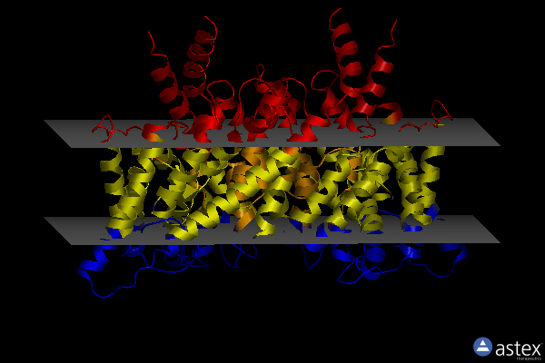 Membrane view of 1kpk