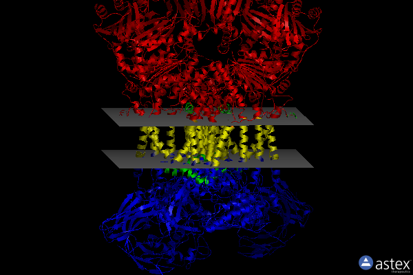Membrane view of 1kyo