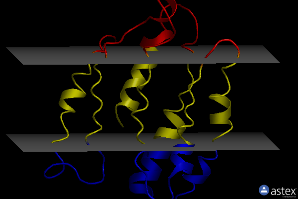 Membrane view of 1l0m