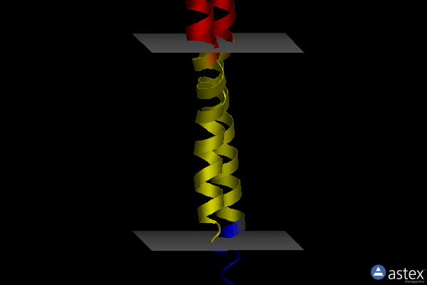 Membrane view of 1l6t