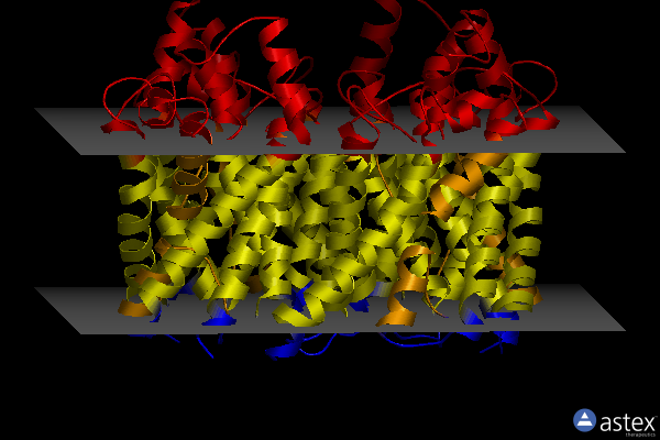 Membrane view of 1ldi